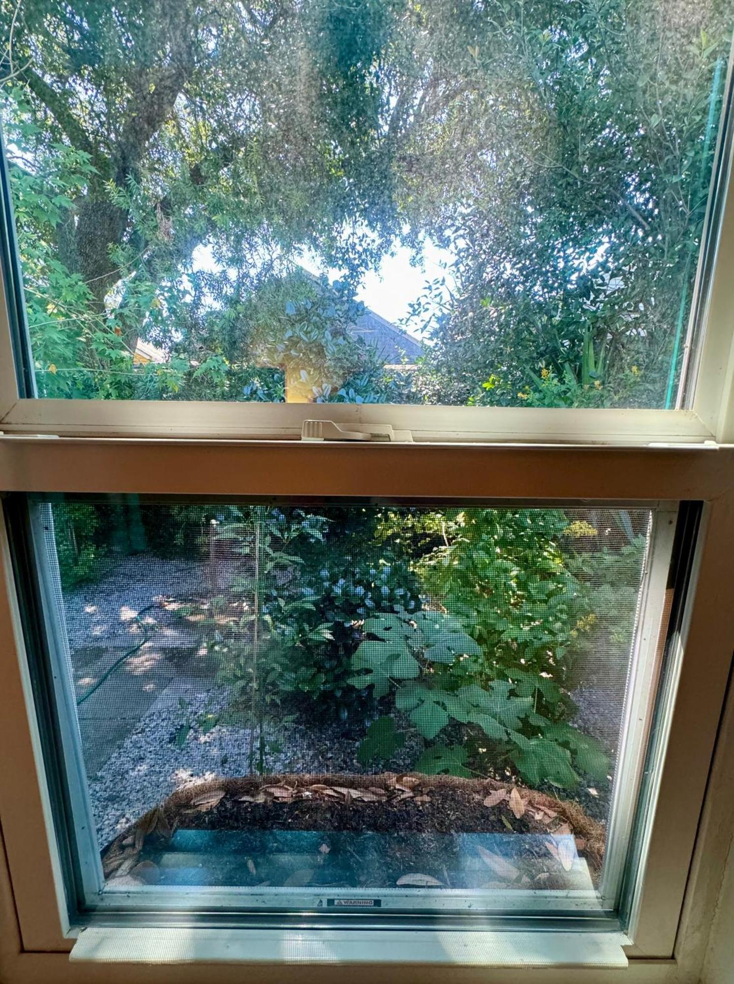 One Bedroom Apartment With Hot Tub 2 Blocks To Magazine Street Nowy Orlean Zewnętrze zdjęcie